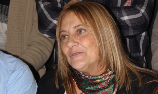 Colegio San Martín - Stella Ilvento: 
