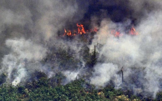 Cómo puede afectar en Argentina el humo que provoca el incendio en el Amazonas