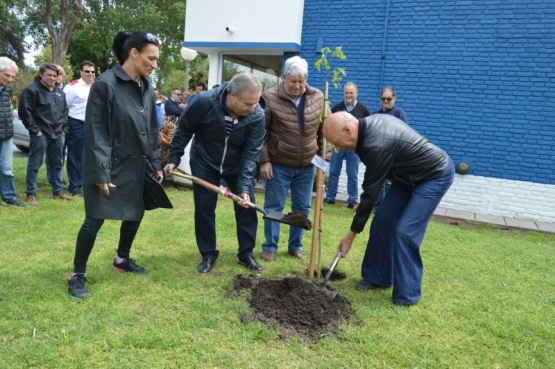 Jornada de forestación de arbolado en Inés Indart 