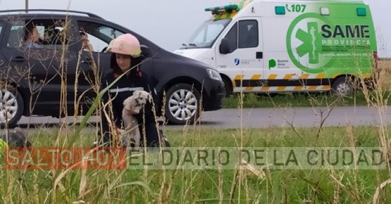 Amor perruno: Bomberos de Arroyo Dulce rescataron a la mascota de una familia accidentada en la ruta 32