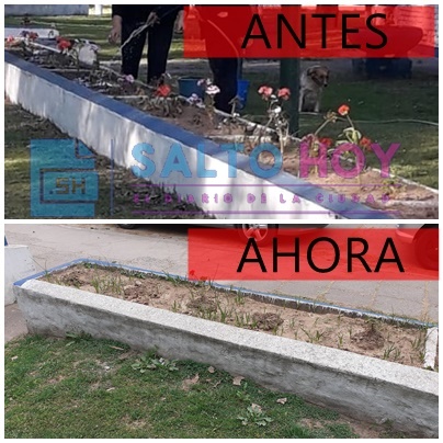 En Salto se roban hasta las plantas de los canteros 