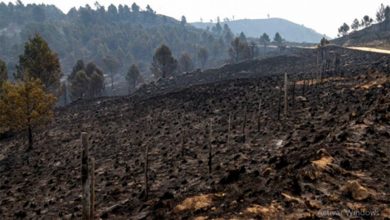 Gracias a las lluvias, se extinguieron todos los incendios que quedaban activos en Córdoba