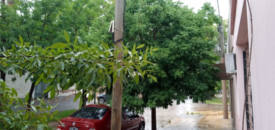 La salud de una niña está en riesgo 