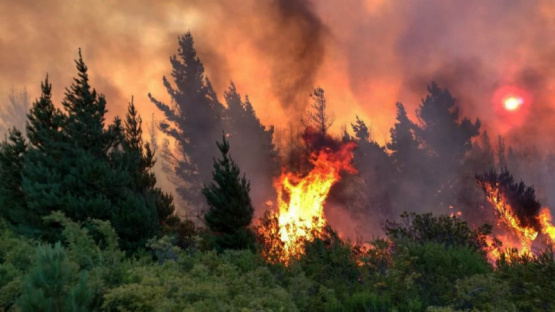 Ofrecen $3 millones de recompensa para encontrar a los responsables de los incendios en Chubut