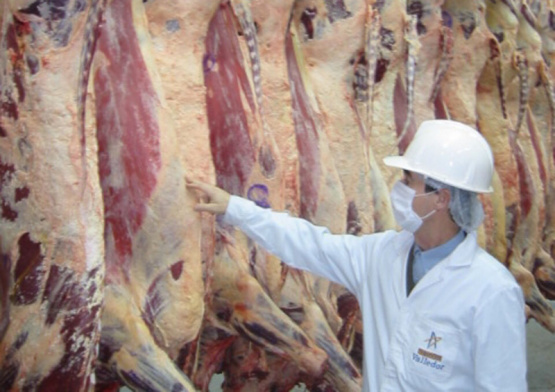 Oficializaron la creación de un registro para exportadores de carnes y el Gobierno busca aumentar los controles sobre las empresas